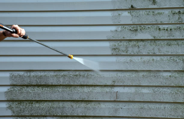 Best Deck Cleaning Services  in Orwigsburg, PA
