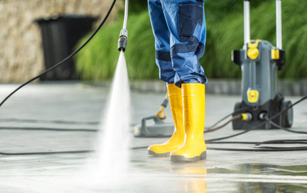 Best Roof Pressure Washing  in Orwigsburg, PA